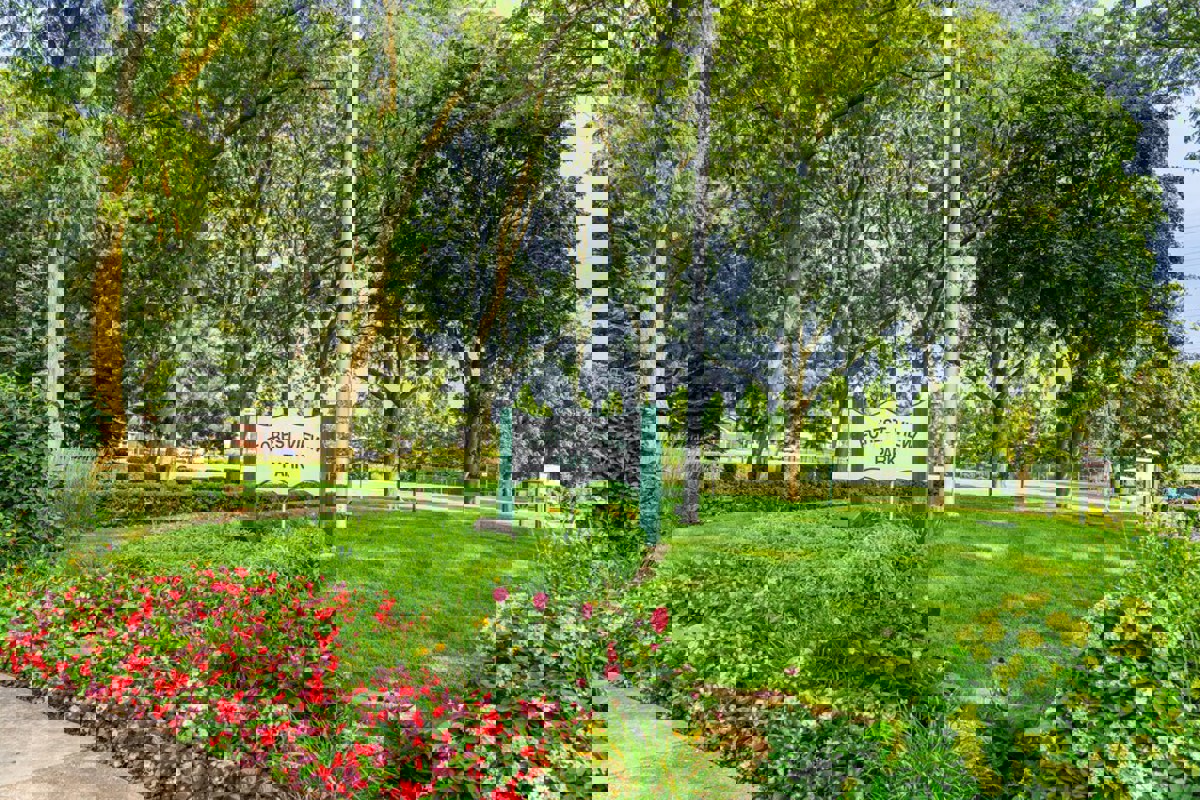 Featured image of Mission Statement